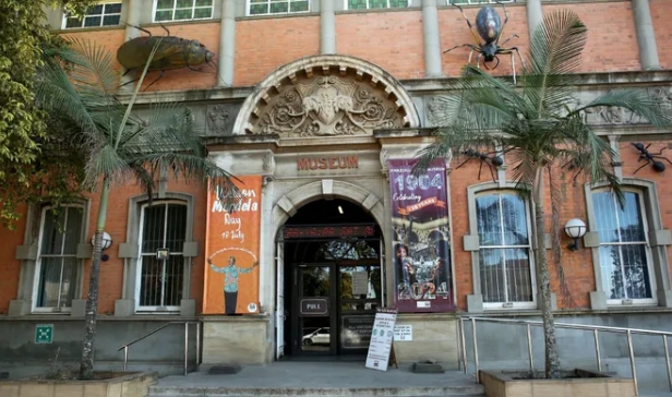 KwaZulu-Natal Museum to Move to New R632 Million Home